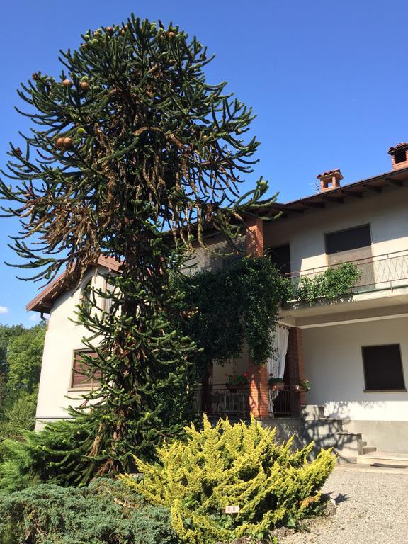 La Casa Creativa Bed & Breakfast Lomnago ภายนอก รูปภาพ